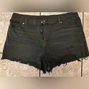 Aerie green canvas distressed shorts